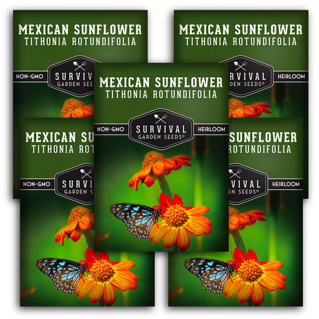 Mexican Sunflower Seeds – Heirloom Non-GMO Variety for Pollinators, Monarch Butterflies & Vibrant Garden Color