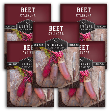 Cylindra Beet Seeds – Danish Heirloom Variety, Space-Saving Beets