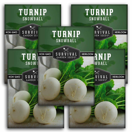 Snowball White Turnip Seeds – Heirloom Cool-Season Variety for Spring & Fall Gardens