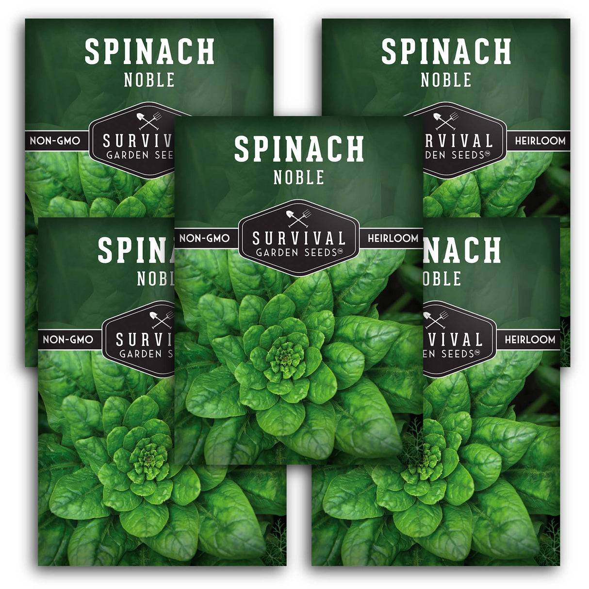 Giant Noble Spinach Seeds – Heirloom Non-GMO Cool-Season Greens for Spring, Fall & Mild Winter Gardens