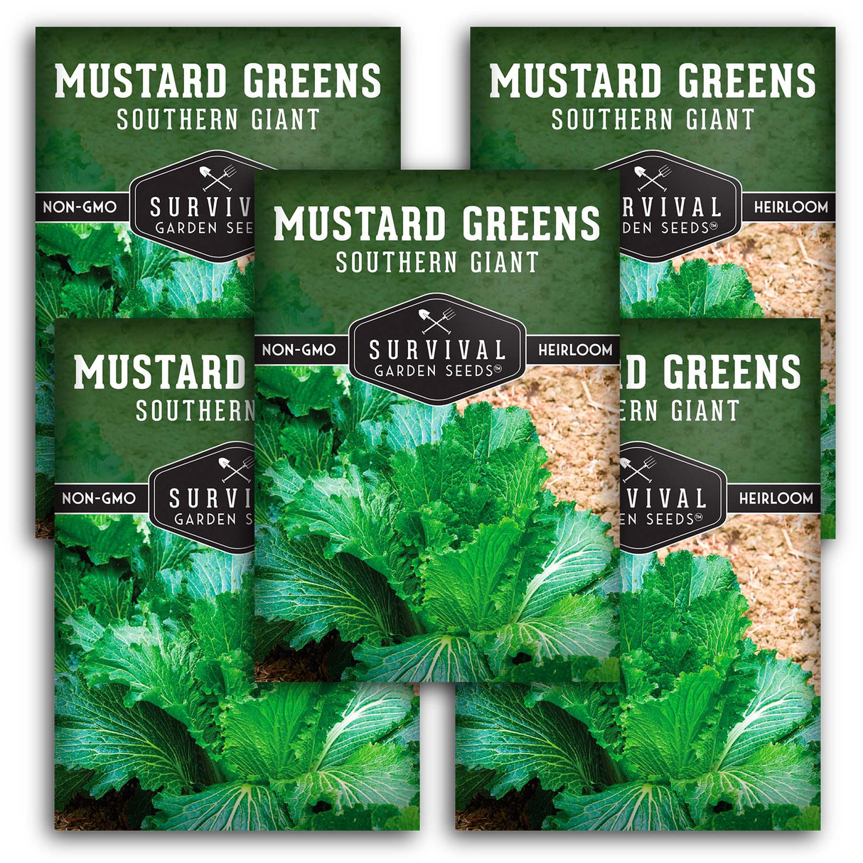 Southern Giant Mustard Green Seeds – Heirloom Non-GMO Variety for Warm Climates, High Yields & Bold Spicy Flavor