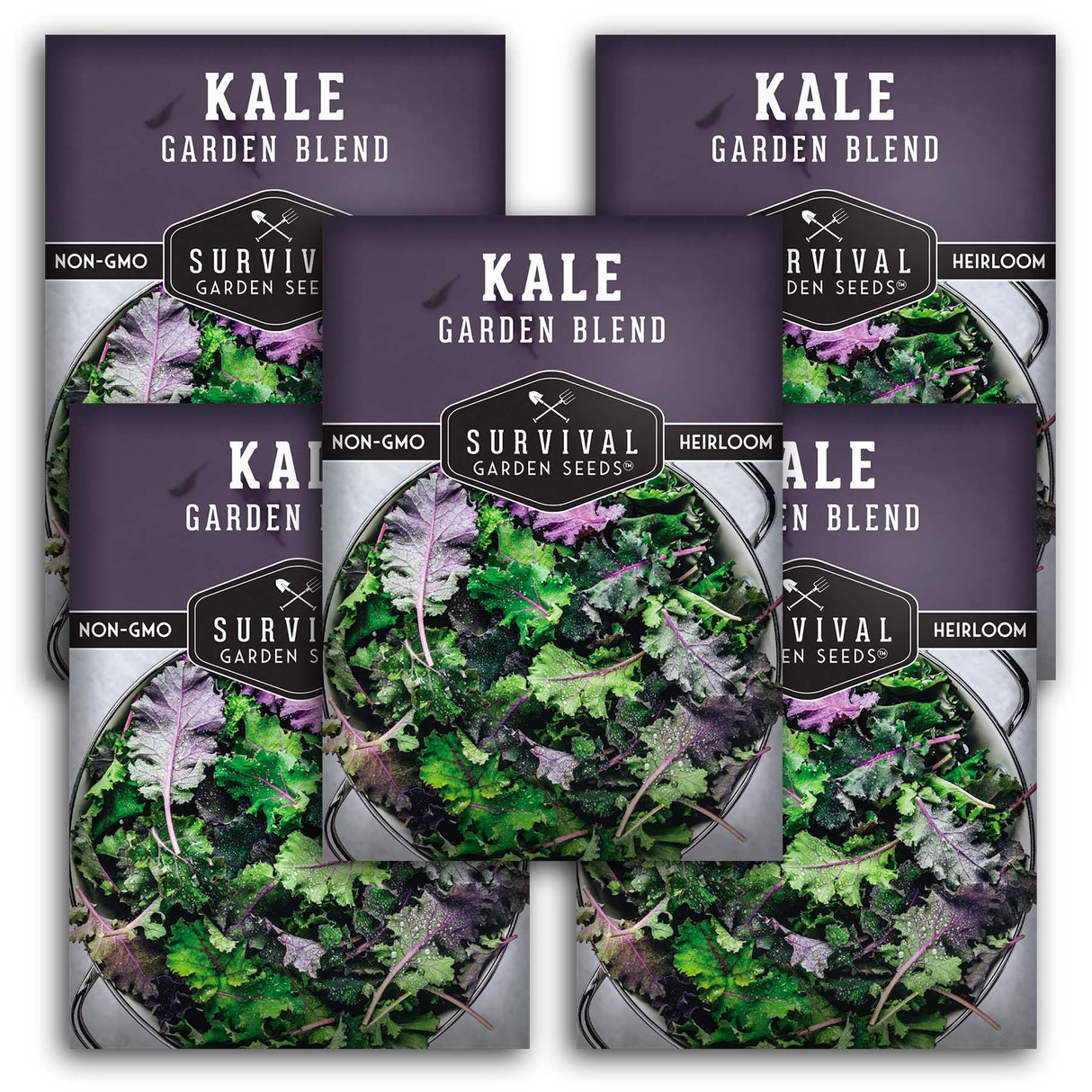 Baby Kale Seeds – Heirloom Garden Blend Mix of Curly & Flat Leaf Kale for Tender Baby Greens or Full-Size Leaves – Cold Hardy, Non-GMO, Easy to Grow