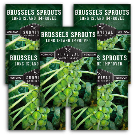 Long Island Improved Brussels Sprout Seeds – Heirloom Favorite