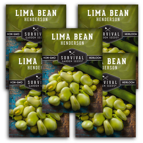 Henderson Bush Lima Bean Seeds – Heirloom Butter Beans