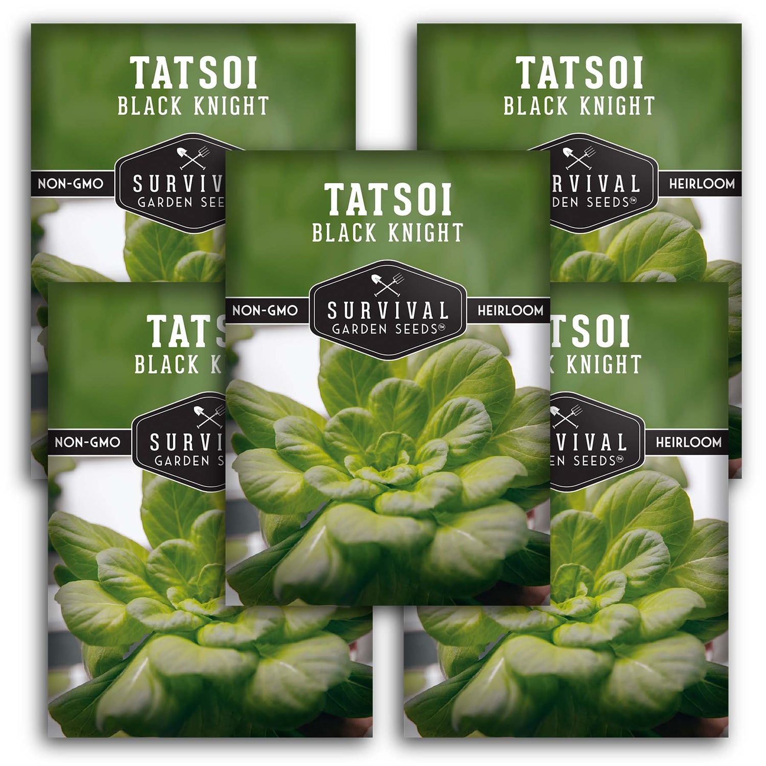 Black Knight Tatsoi Seeds – Heirloom Asian Mustard Green with Sweet, Mild Flavor & Compact Growth