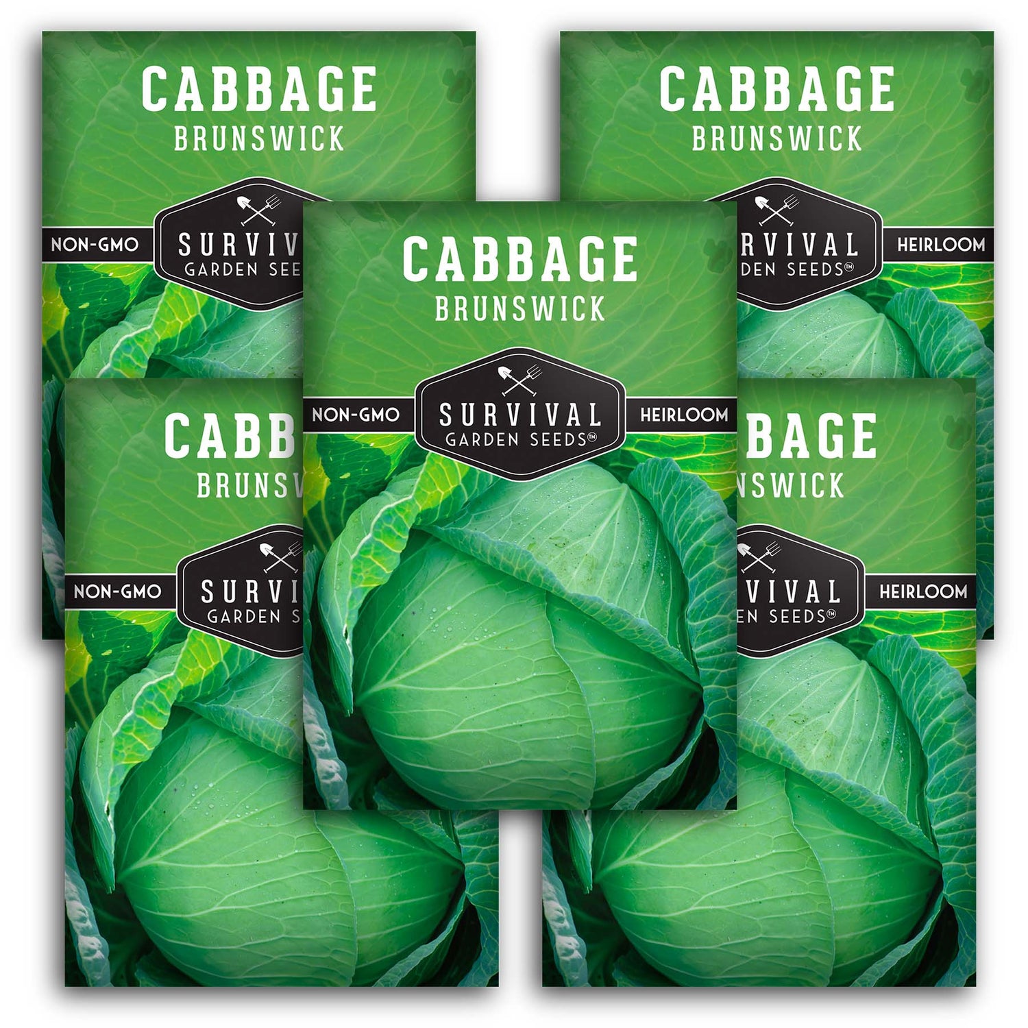 Brunswick Cabbage Seeds 2025