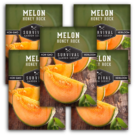 Honey Rock Melon Seeds - Sweet Cantaloupe