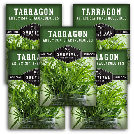 Russian Tarragon Seeds