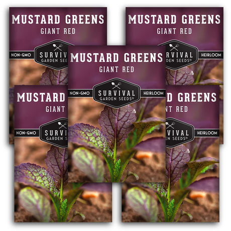 Giant Red Mustard Green Seeds – Heirloom Non-GMO Variety for Bold, Spicy Flavor & Ornamental Garden Color
