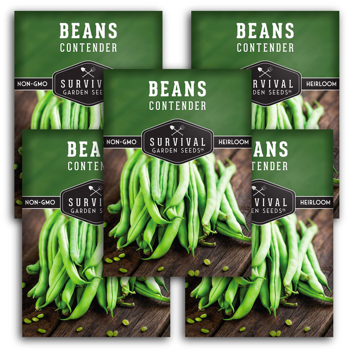 Contender Bush Bean Seeds - Early Producing Bean