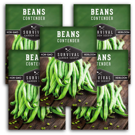 Contender Bush Bean Seeds - Early Producing Bean