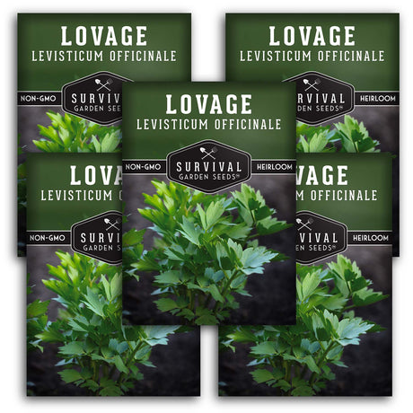 5 Packs of Lovage seeds