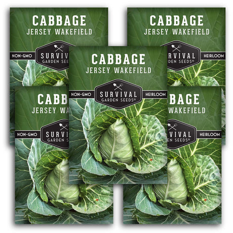Jersey Wakefield Cabbage Seeds – Heirloom Non-GMO, Early-Maturing Pointed Cabbage for Compact Gardens