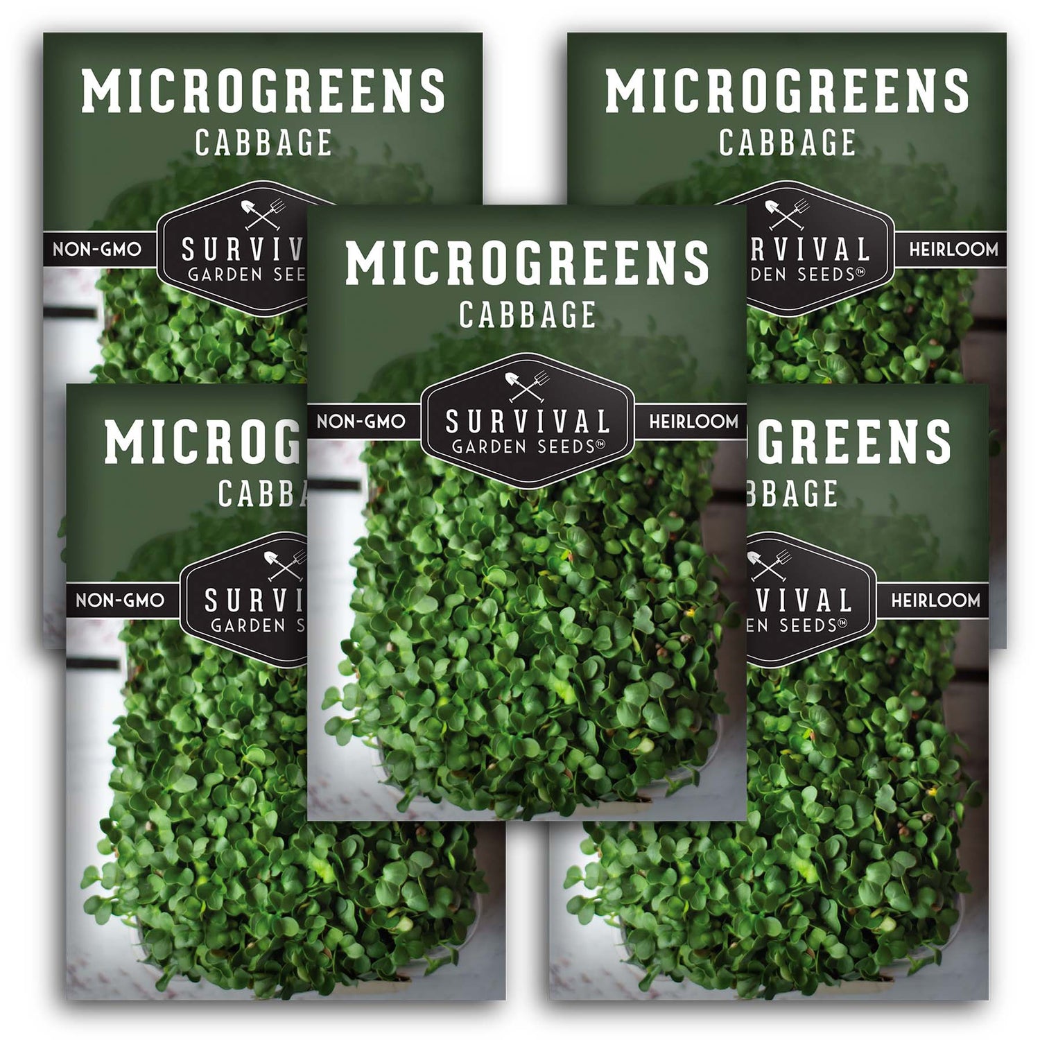 Cabbage Microgreens Seeds