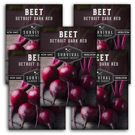 5 Packets of Detroit Dark Red Beet seeds
