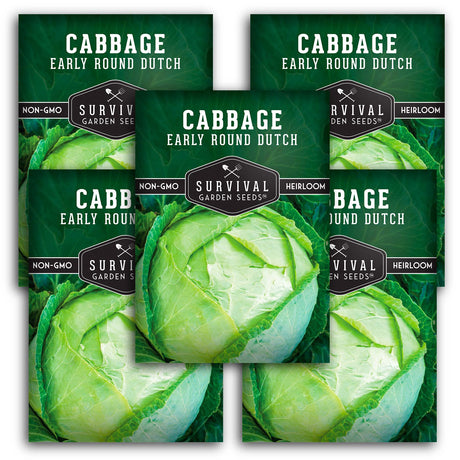 Early Round Dutch Cabbage Seeds – Heirloom Non-GMO, Cold-Hardy Green Cabbage for Spring and Fall Gardens