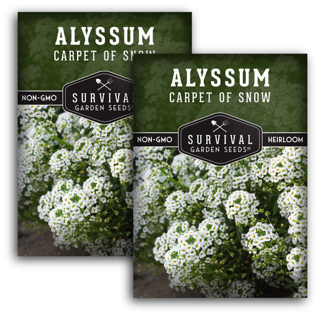 White Alyssum Seeds – Sweet Carpet of Snow