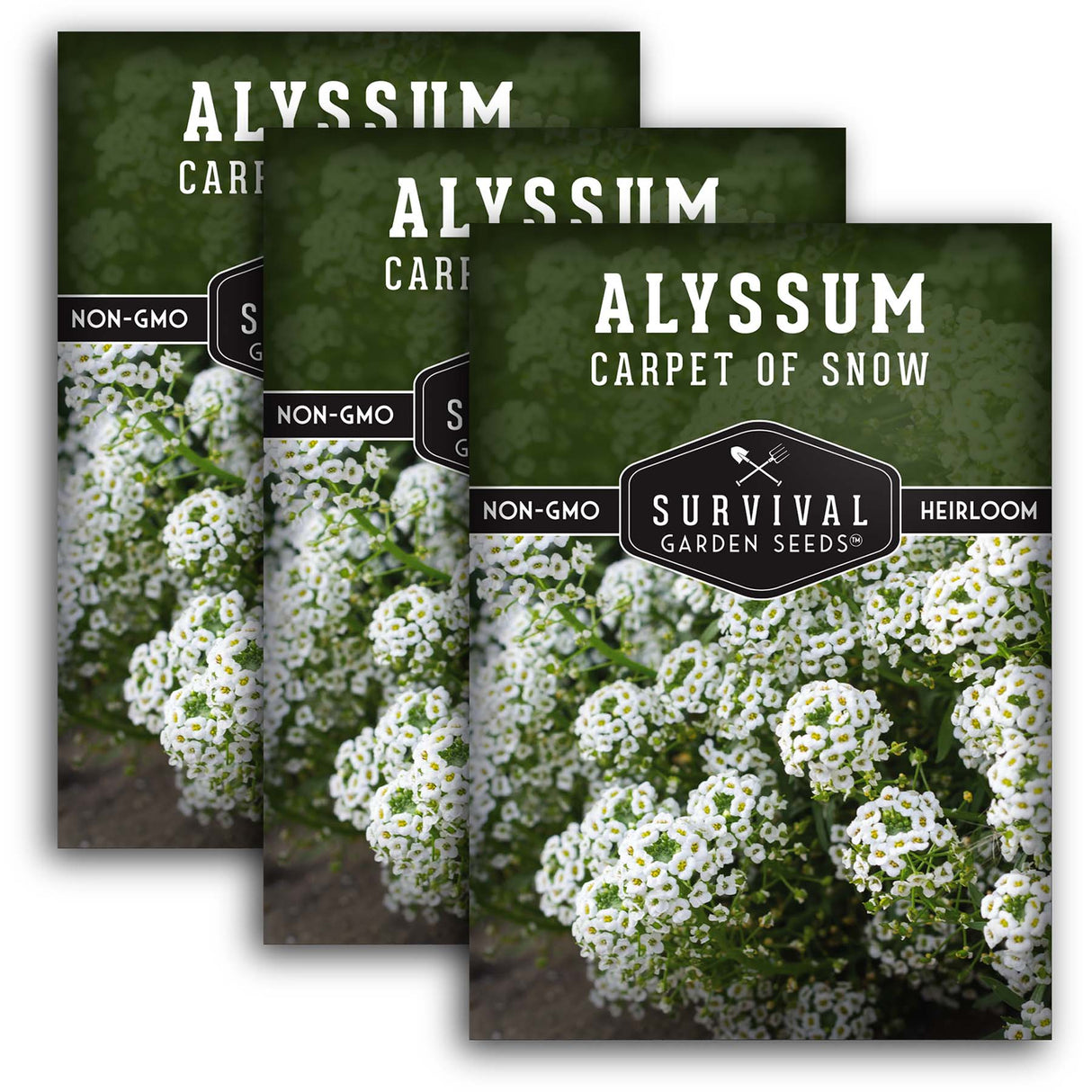 White Alyssum Seeds – Sweet Carpet of Snow