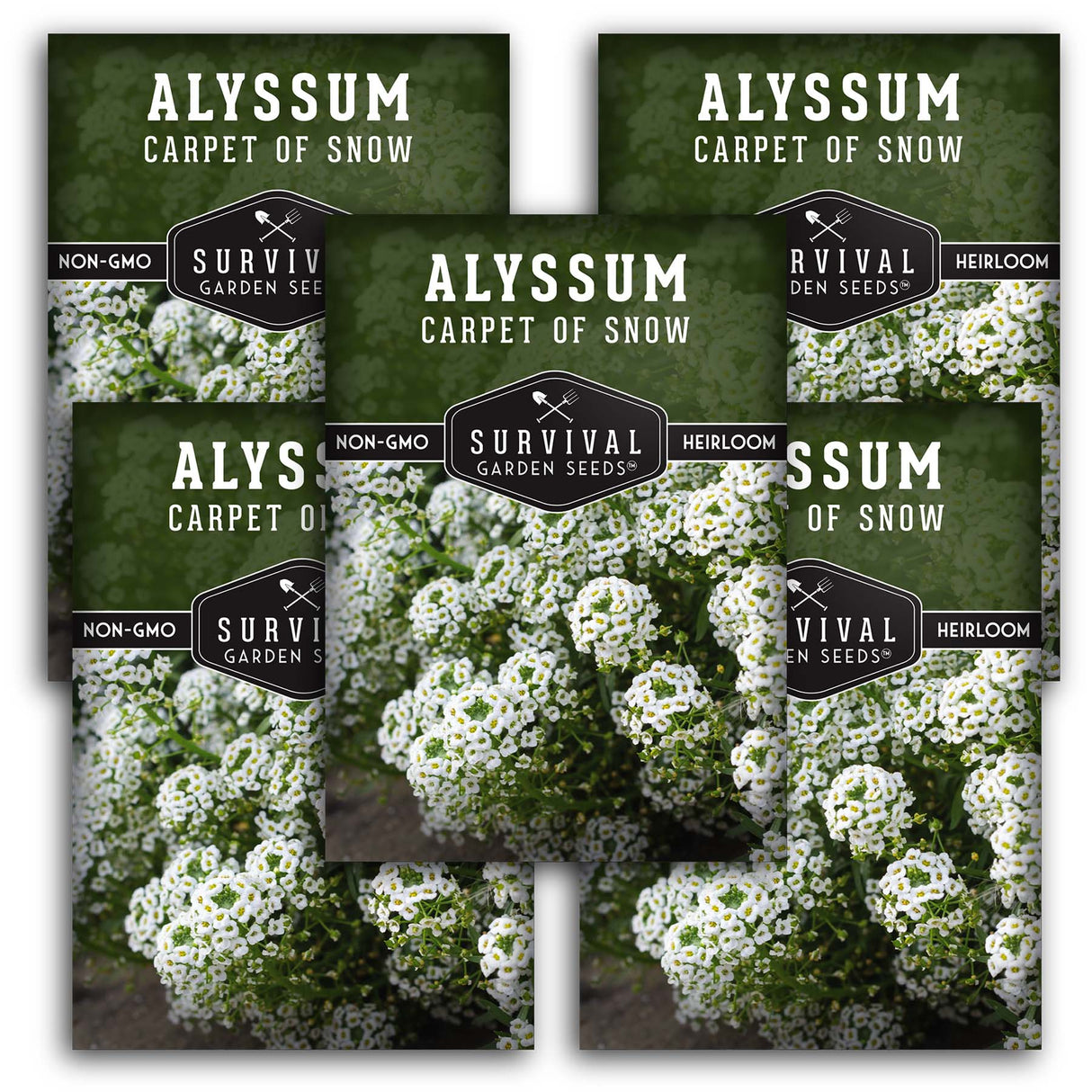 White Alyssum Seeds – Sweet Carpet of Snow