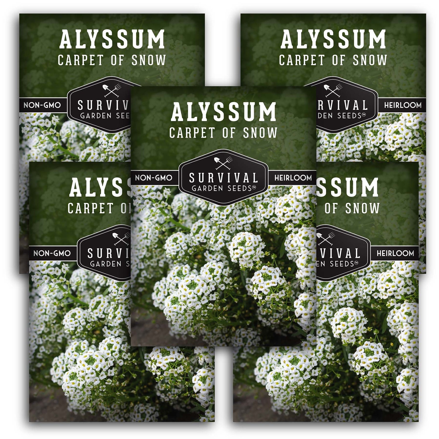White Alyssum Seeds – Sweet Carpet of Snow