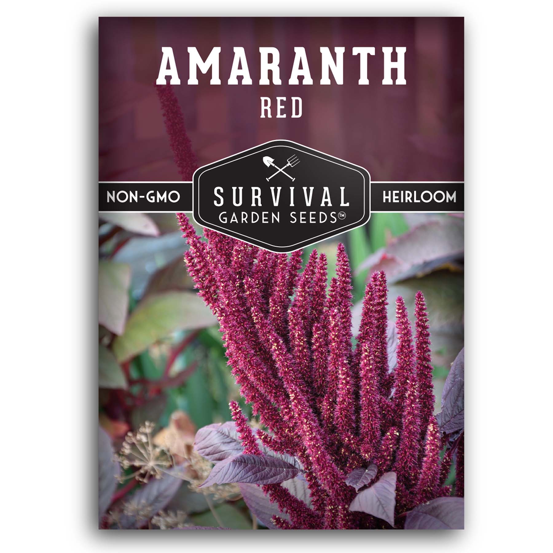 Red Amaranth seeds for planting