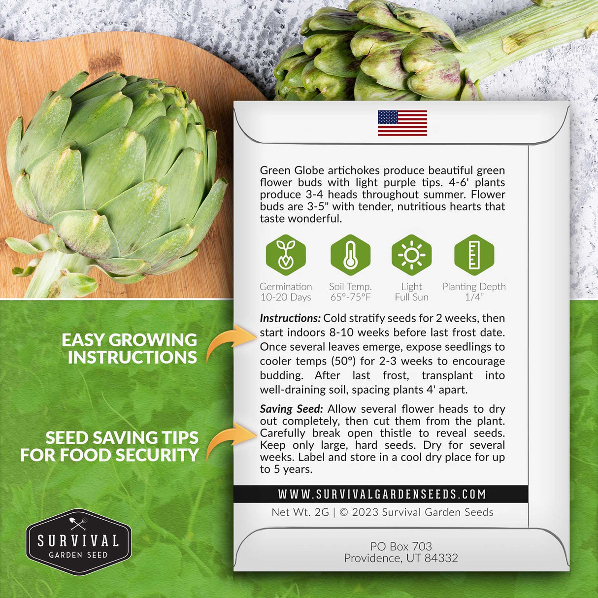 How to grow Green Globe Artichoke