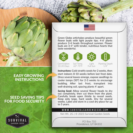 How to grow Green Globe Artichoke