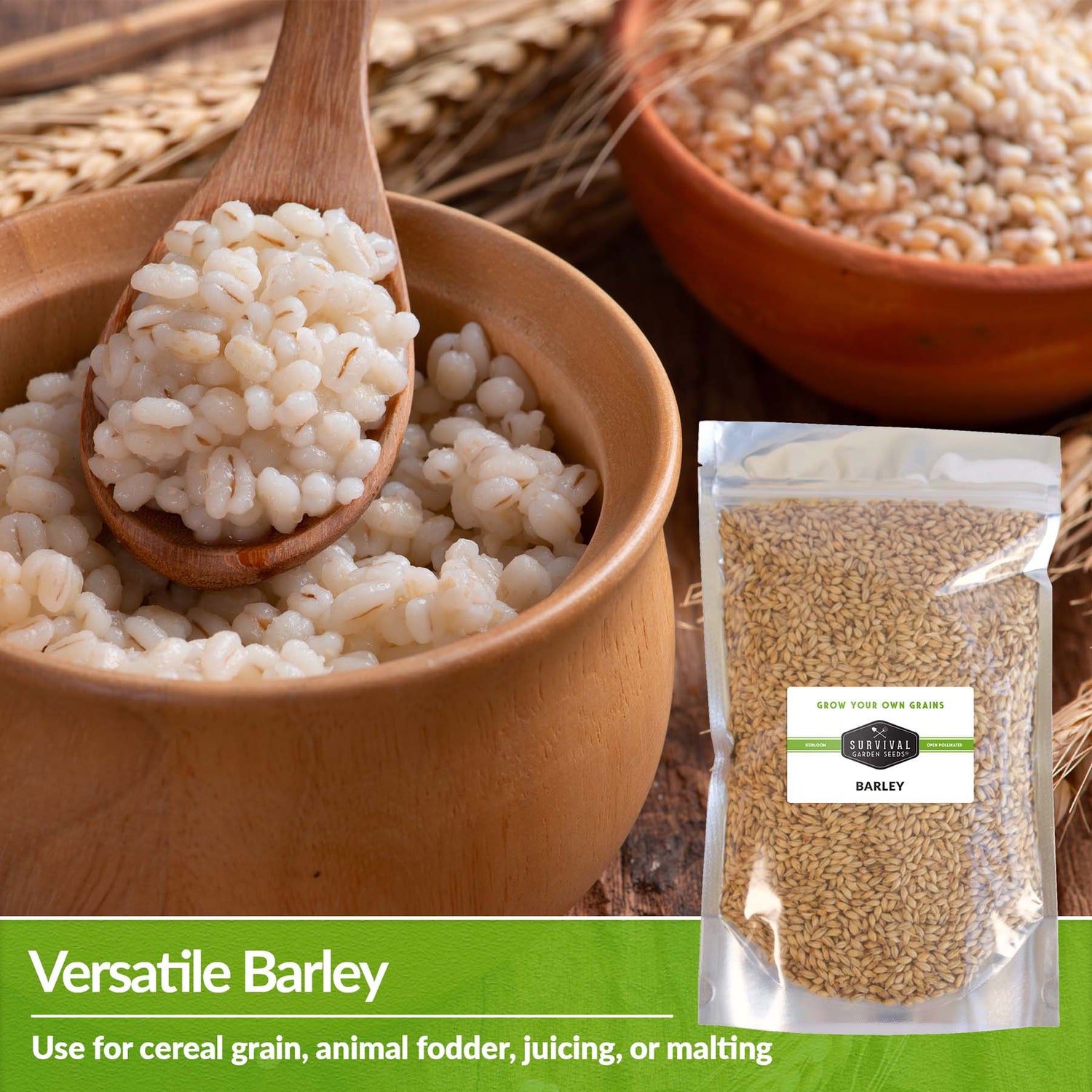 Barley is a versatile grain