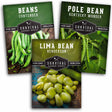 Bean Collection - 3 packets of bean seeds