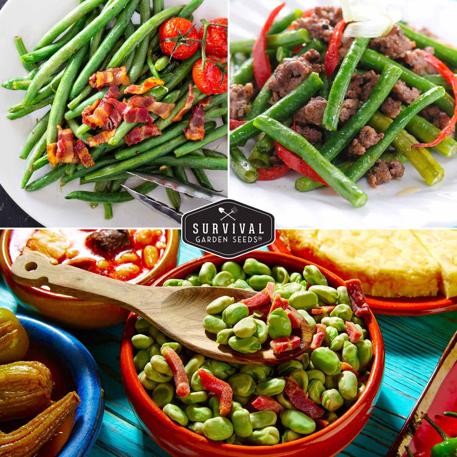 Bush beans, pole beans, lima beans