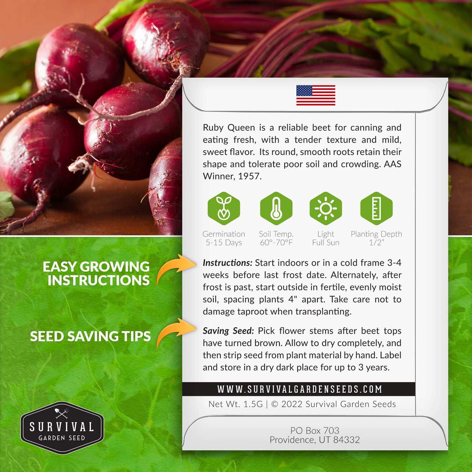 Ruby Queen Beet Seed planting instructions