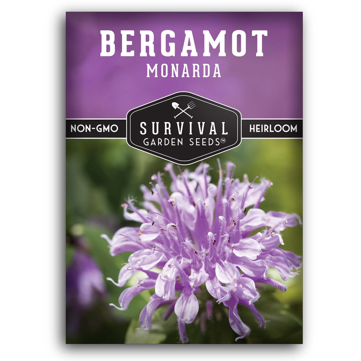 Bergamot (Bee Balm) Native Wildflower Seeds – SurvivalGardenSeeds