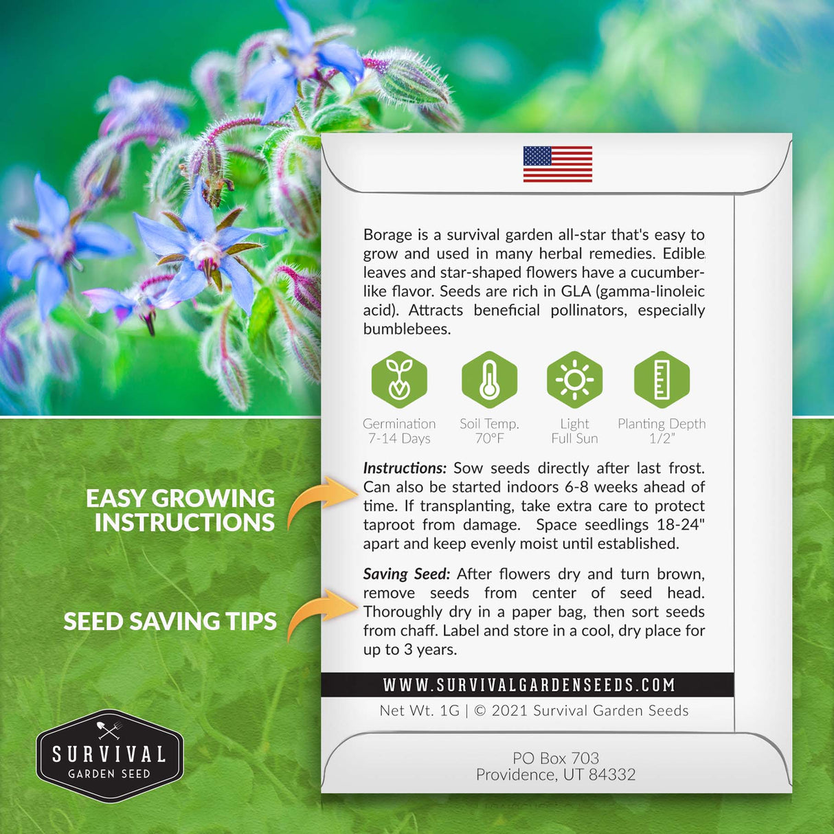 Borage seed planting instructions