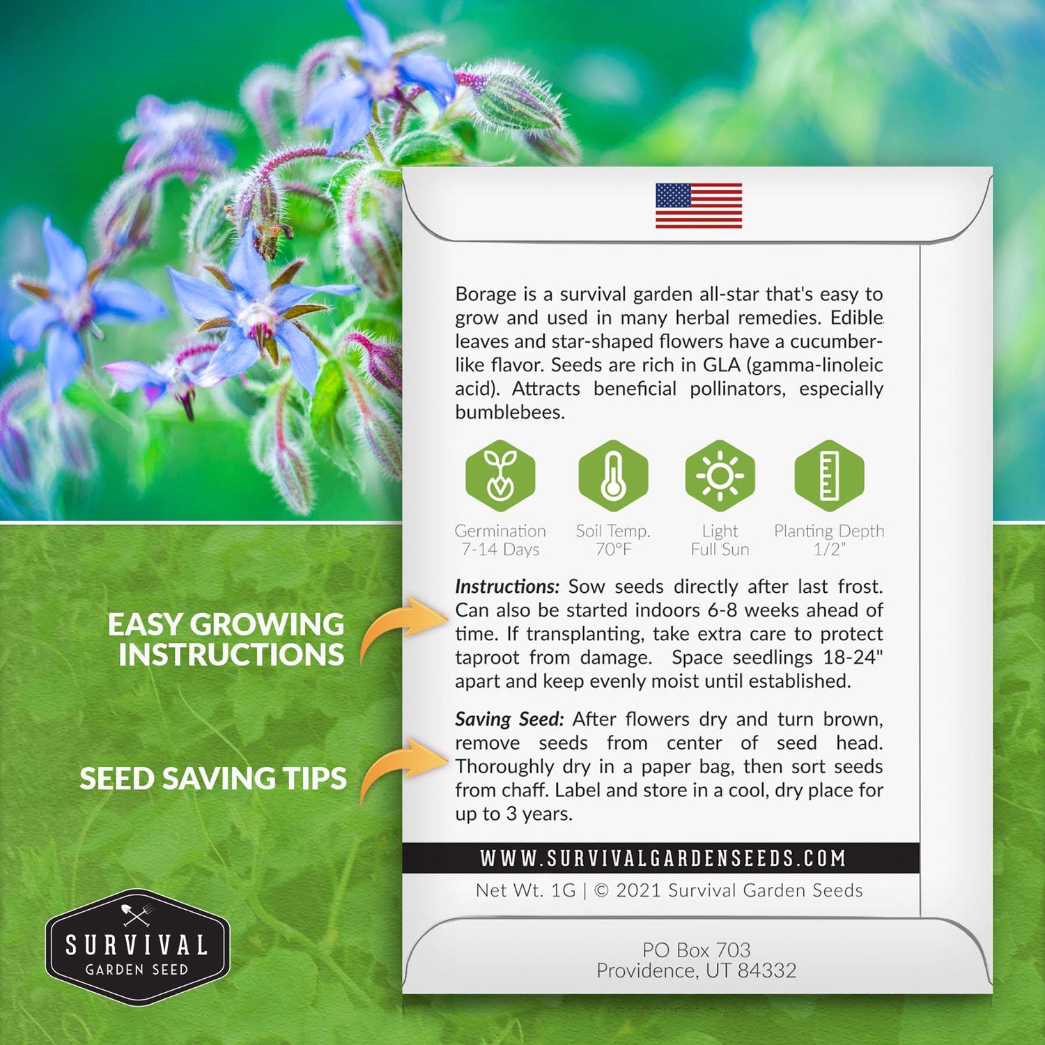 Borage seed planting instructions