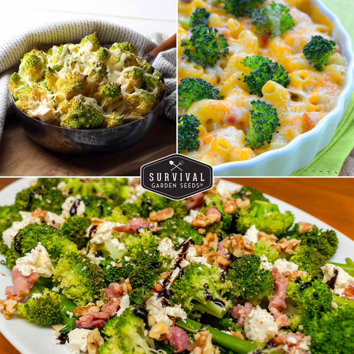 broccoli used in cooking