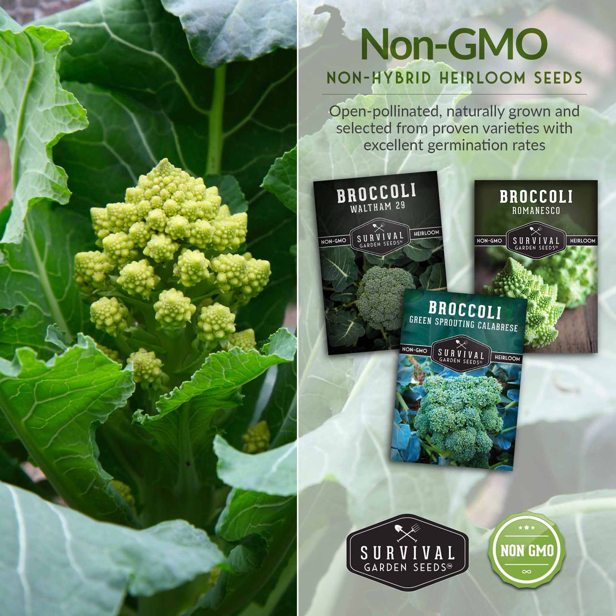 Non-GMO non-hybrid heirloom vegetable garden seeds