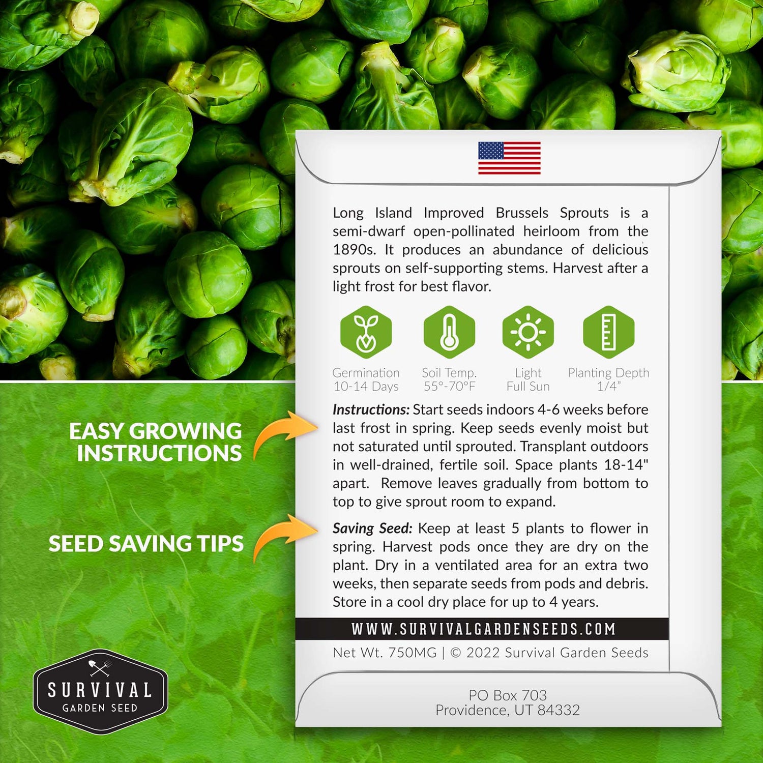 Long Island Improved Brussels Sprouts seed planting instructions