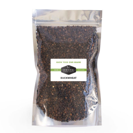 Bulk pack of Buckwheat seed for planting