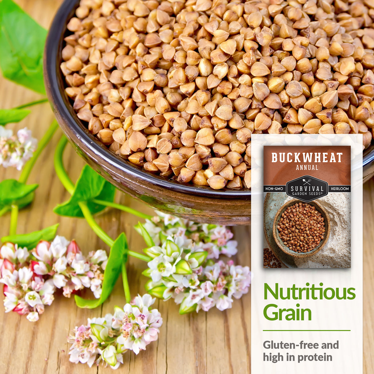 Buckwheat Seed