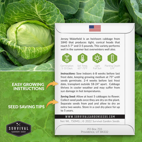 Jersey Wakefield Cabbage planting instructions