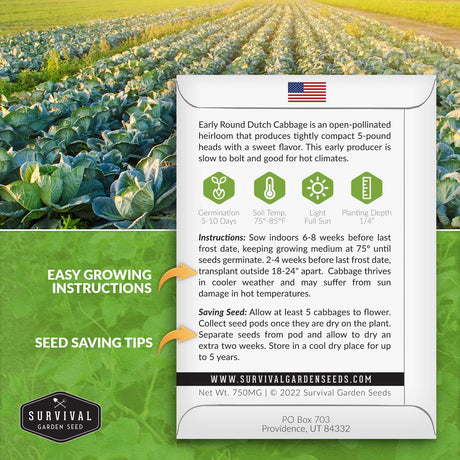 Early Round Dutch Cabbage seed planting instructions