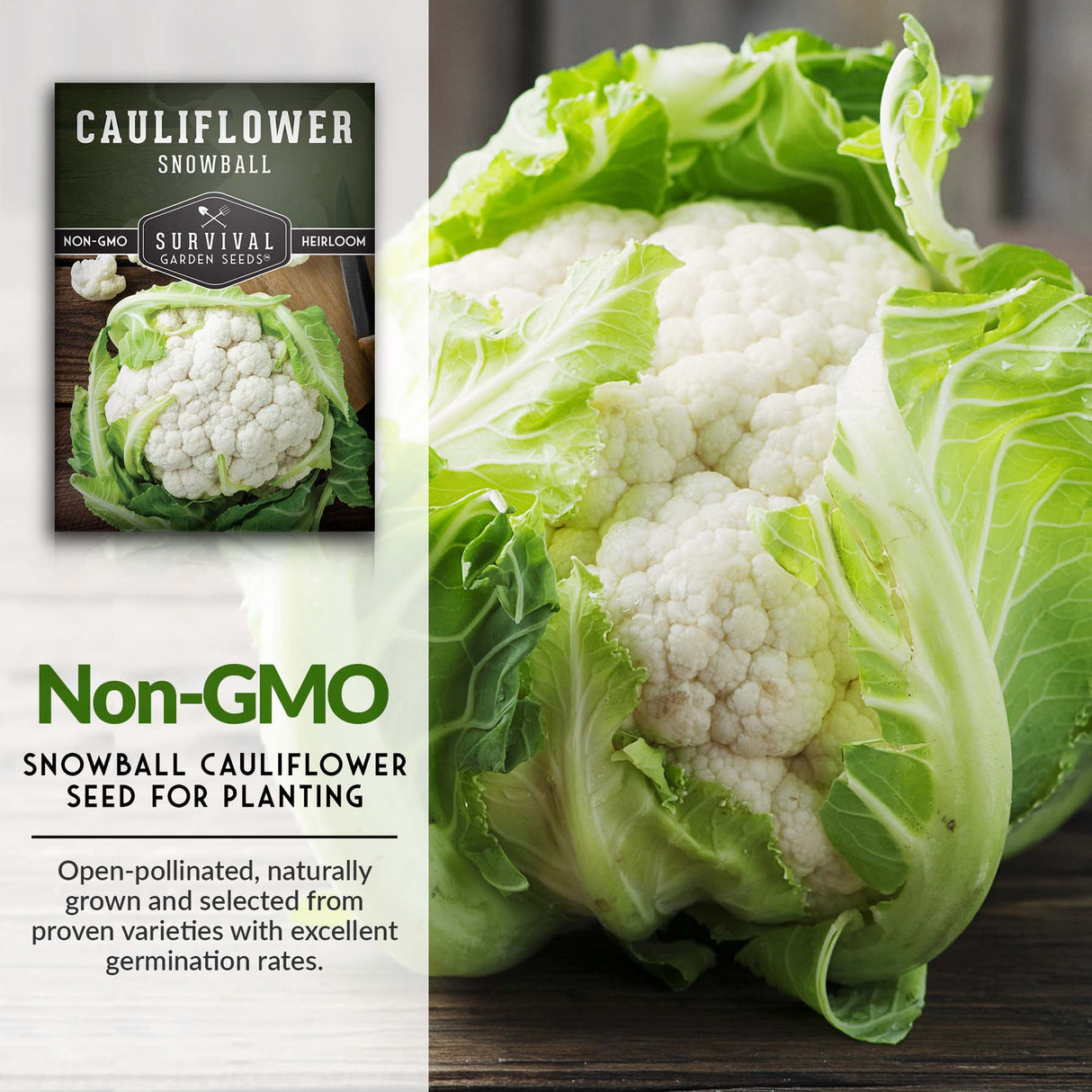 Snowball Cauliflower Seeds – Early-Maturing Heirloom with Large White Heads & Excellent Flavor