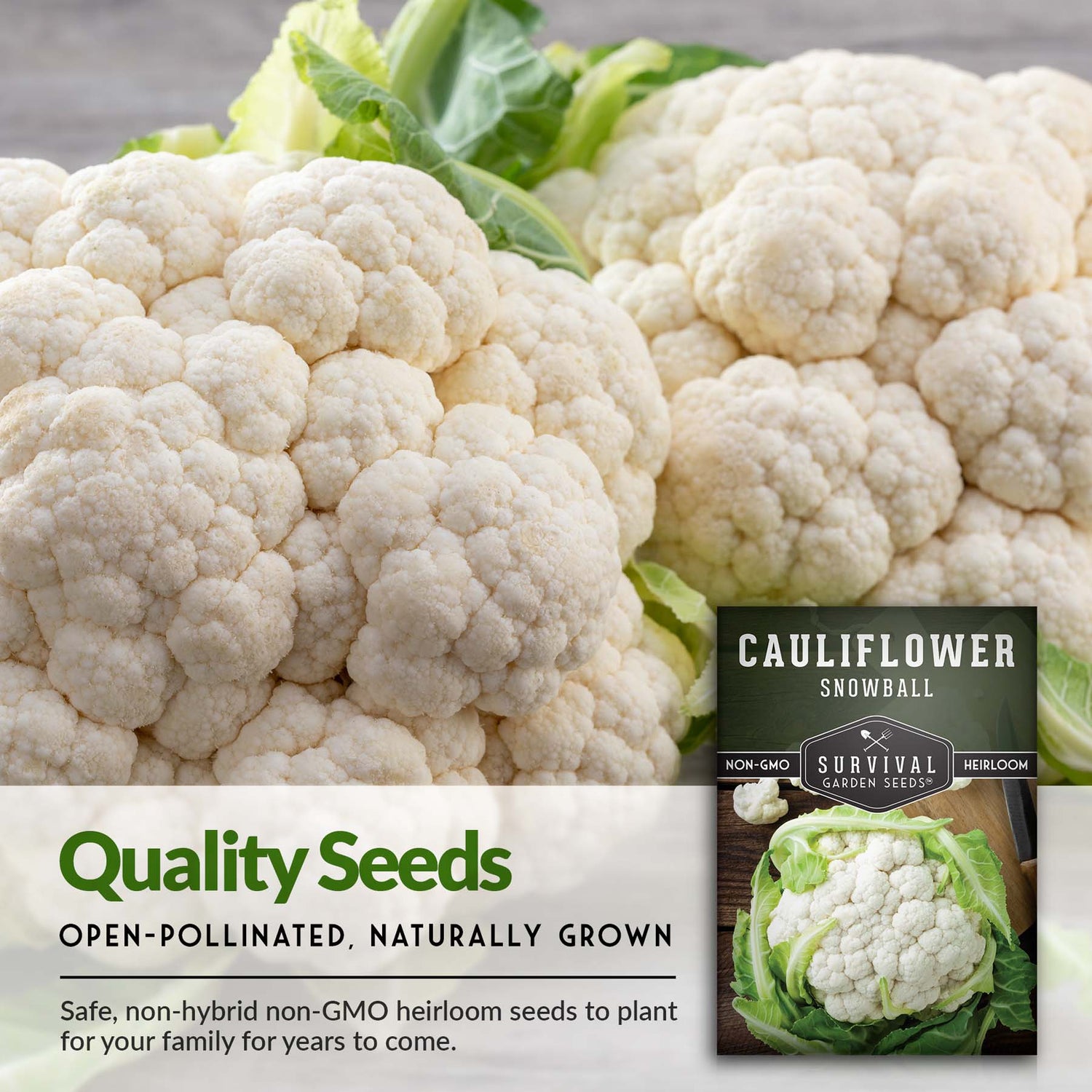 Snowball Cauliflower Seeds – Early-Maturing Heirloom with Large White Heads & Excellent Flavor