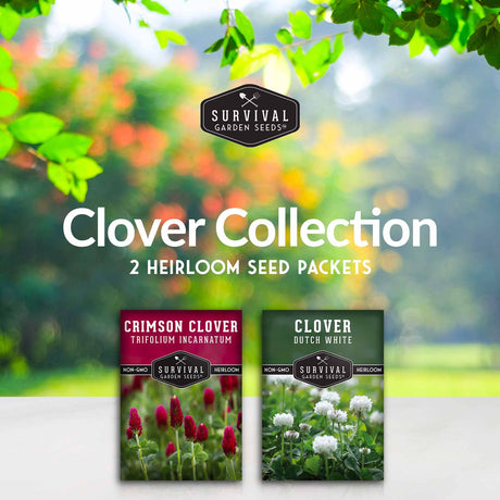 Clover collection - 2 heirloom seed packets