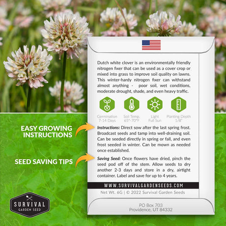 Dutch white clover planting instructions