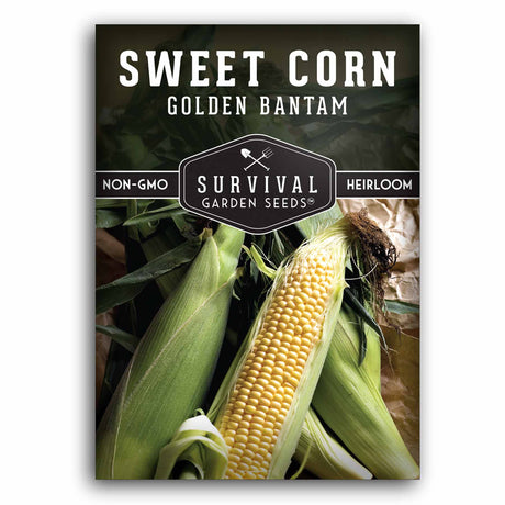 Golden Bantam Sweet Corn Seeds