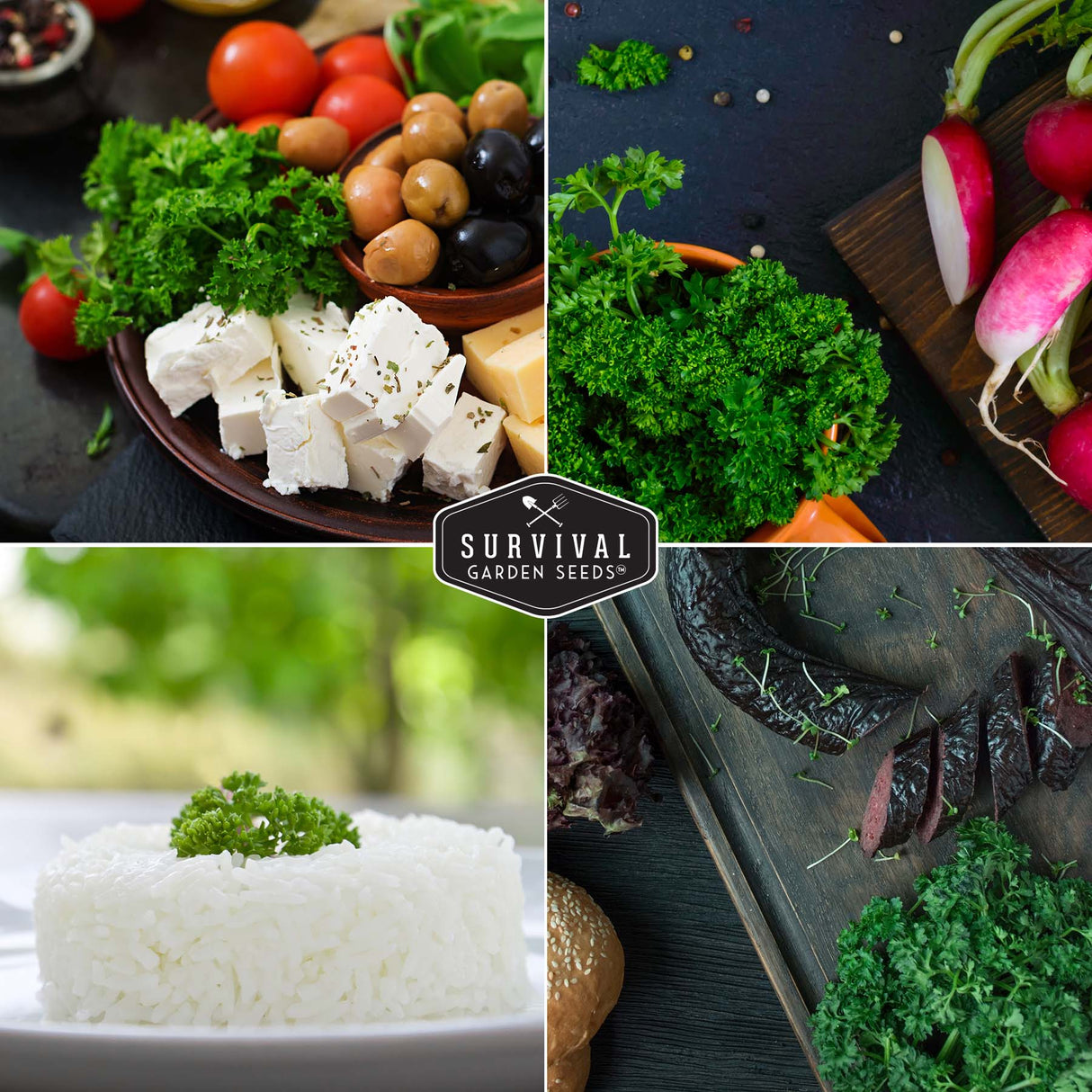 Curly Parsley Seeds – Heirloom Non-GMO Herb for Indoor & Outdoor Growing, Fresh Garnish & Seasoning