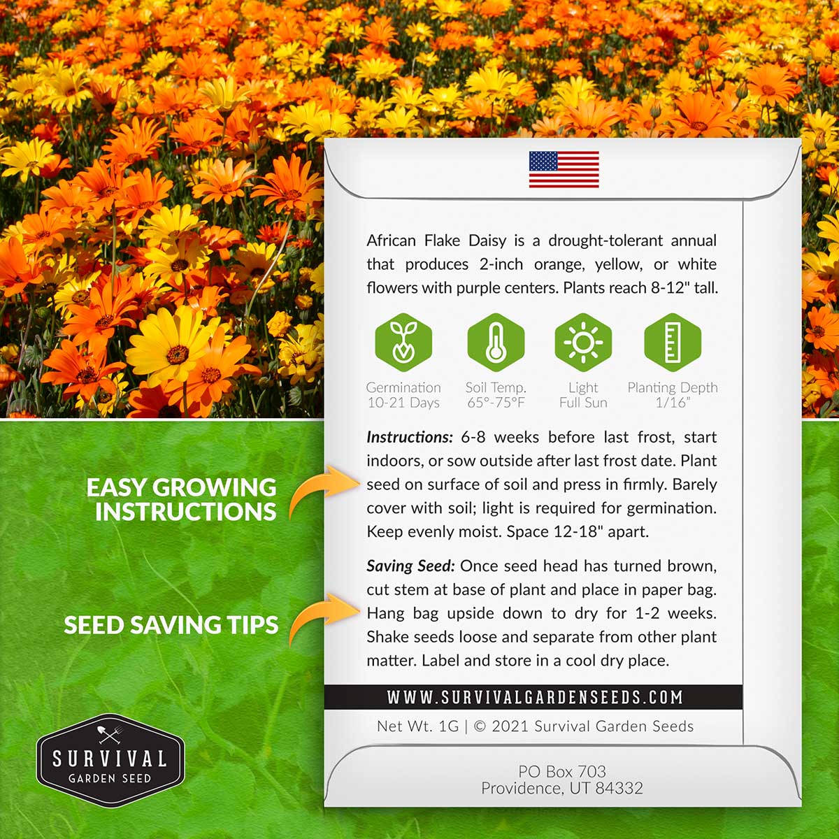 African Flake Daisy seed planting instructions