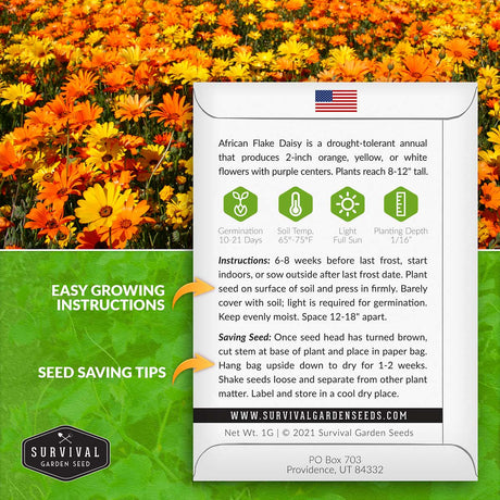 African Flake Daisy seed planting instructions