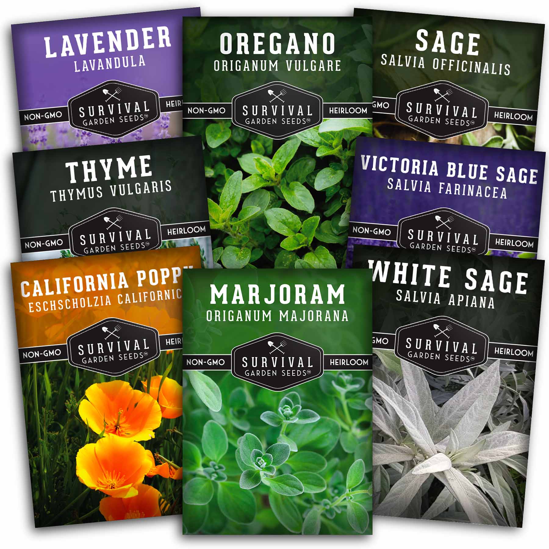 Drought tolerant seed collection - flowers and herbs